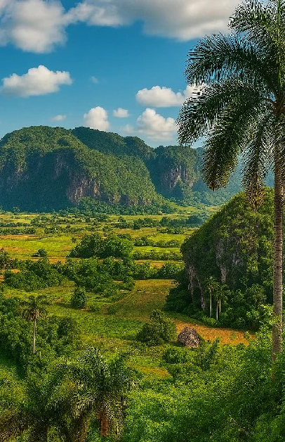 Valle de Viñales